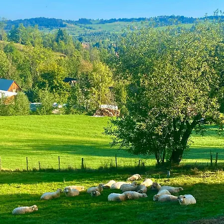 Wygorowane - Nowoczesne Stodoly Pod Tatrami *