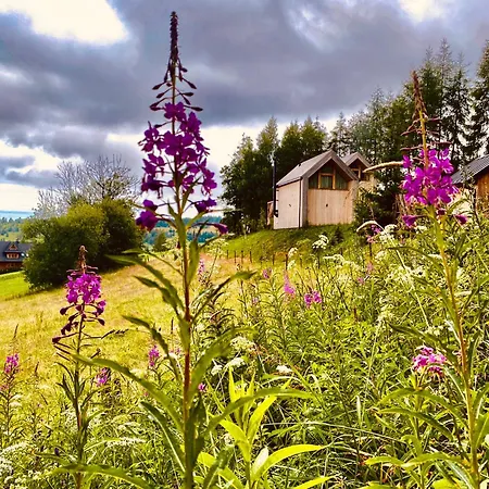 Wygorowane - Nowoczesne Stodoly Pod Tatrami Chalet